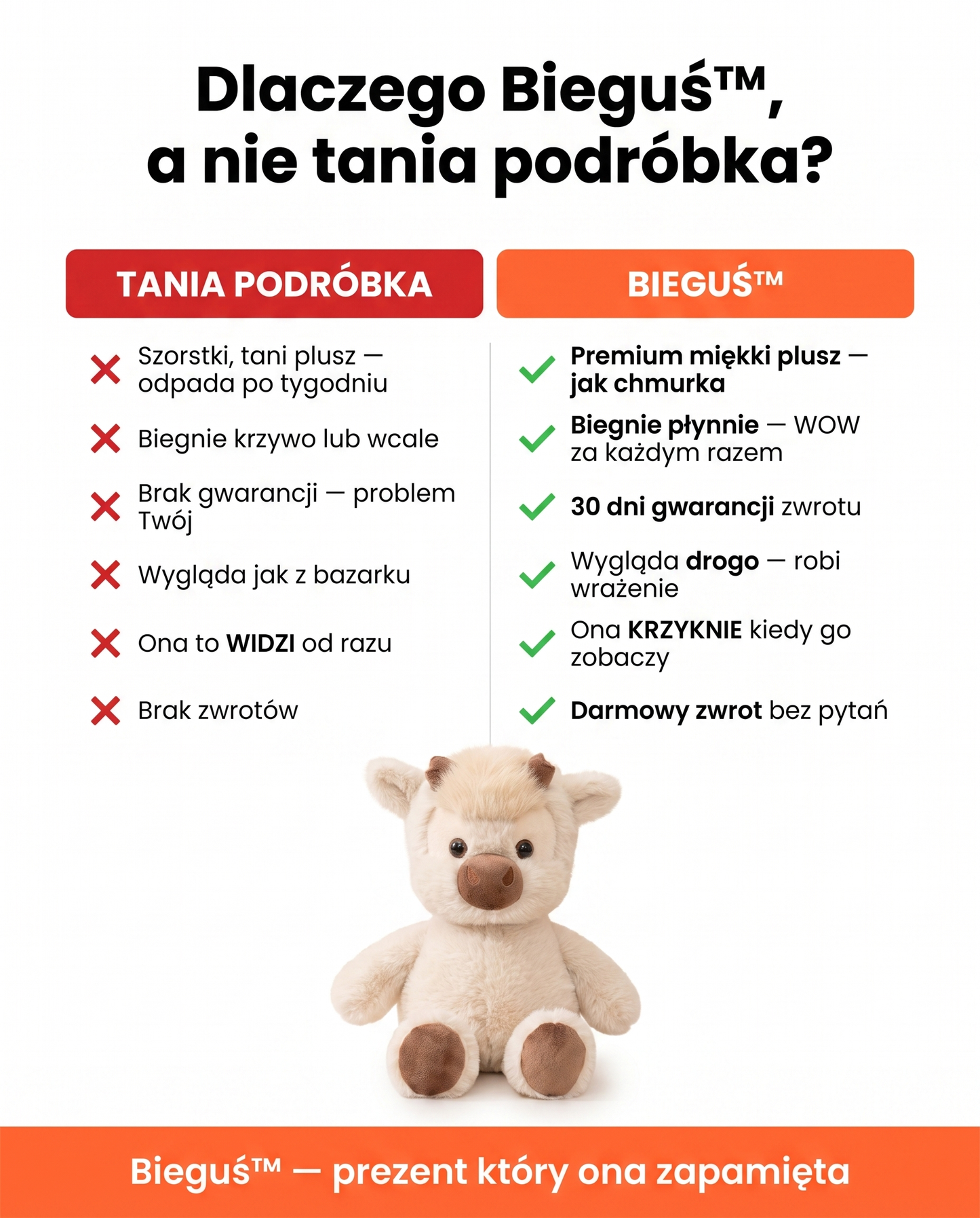 Bieguś™