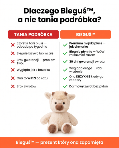 Bieguś™